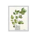 Picture of Golden Greens I _GroupedProduct_Rectangle_Portrait_Framed_Matted_