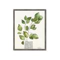 Picture of Golden Greens I _GroupedProduct_Rectangle_Portrait_Framed_Matted_