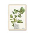 Picture of Golden Greens I _GroupedProduct_Rectangle_Portrait_Framed_Matted_