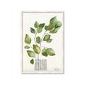 Picture of Golden Greens I _GroupedProduct_Rectangle_Portrait_Framed_Matted_