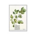 Picture of Golden Greens I _GroupedProduct_Rectangle_Portrait_Framed_Matted_