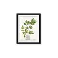 Picture of Golden Greens I _GroupedProduct_Rectangle_Portrait_Framed_Matted_