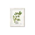 Picture of Golden Greens I _GroupedProduct_Rectangle_Portrait_Framed_Matted_