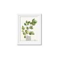 Picture of Golden Greens I _GroupedProduct_Rectangle_Portrait_Framed_Matted_