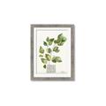 Picture of Golden Greens I _GroupedProduct_Rectangle_Portrait_Framed_Matted_