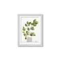 Picture of Golden Greens I _GroupedProduct_Rectangle_Portrait_Framed_Matted_