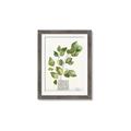 Picture of Golden Greens I _GroupedProduct_Rectangle_Portrait_Framed_Matted_