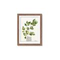 Picture of Golden Greens I _GroupedProduct_Rectangle_Portrait_Framed_Matted_