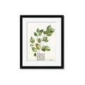 Picture of Golden Greens I _GroupedProduct_Rectangle_Portrait_Framed_Matted_