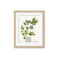 Picture of Golden Greens I _GroupedProduct_Rectangle_Portrait_Framed_Matted_