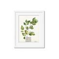 Picture of Golden Greens I _GroupedProduct_Rectangle_Portrait_Framed_Matted_