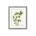 Picture of Golden Greens I _GroupedProduct_Rectangle_Portrait_Framed_Matted_