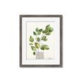 Picture of Golden Greens I _GroupedProduct_Rectangle_Portrait_Framed_Matted_