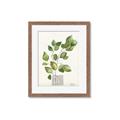Picture of Golden Greens I _GroupedProduct_Rectangle_Portrait_Framed_Matted_