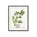 Picture of Golden Greens I _GroupedProduct_Rectangle_Portrait_Framed_Matted_