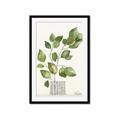 Picture of Golden Greens I _GroupedProduct_Rectangle_Portrait_Framed_Matted_