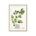 Picture of Golden Greens I _GroupedProduct_Rectangle_Portrait_Framed_Matted_