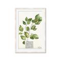 Picture of Golden Greens I _GroupedProduct_Rectangle_Portrait_Framed_Matted_