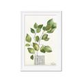Picture of Golden Greens I _GroupedProduct_Rectangle_Portrait_Framed_Matted_