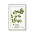 Picture of Golden Greens I _GroupedProduct_Rectangle_Portrait_Framed_Matted_