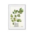 Picture of Golden Greens I _GroupedProduct_Rectangle_Portrait_Framed_Matted_