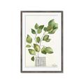 Picture of Golden Greens I _GroupedProduct_Rectangle_Portrait_Framed_Matted_