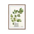 Picture of Golden Greens I _GroupedProduct_Rectangle_Portrait_Framed_Matted_