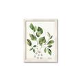 Picture of Golden Greens II _GroupedProduct_Rectangle_Portrait_Framed_Matted_