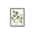 Picture of Golden Greens II _GroupedProduct_Rectangle_Portrait_Framed_Matted_