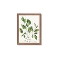 Picture of Golden Greens II _GroupedProduct_Rectangle_Portrait_Framed_Matted_
