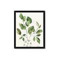 Picture of Golden Greens II _GroupedProduct_Rectangle_Portrait_Framed_Matted_