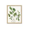 Picture of Golden Greens II _GroupedProduct_Rectangle_Portrait_Framed_Matted_