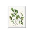 Picture of Golden Greens II _GroupedProduct_Rectangle_Portrait_Framed_Matted_