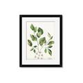 Picture of Golden Greens II _GroupedProduct_Rectangle_Portrait_Framed_Matted_