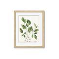 Picture of Golden Greens II _GroupedProduct_Rectangle_Portrait_Framed_Matted_