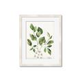 Picture of Golden Greens II _GroupedProduct_Rectangle_Portrait_Framed_Matted_