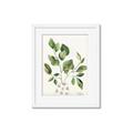 Picture of Golden Greens II _GroupedProduct_Rectangle_Portrait_Framed_Matted_