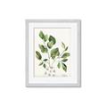 Picture of Golden Greens II _GroupedProduct_Rectangle_Portrait_Framed_Matted_