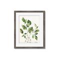Picture of Golden Greens II _GroupedProduct_Rectangle_Portrait_Framed_Matted_