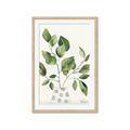 Picture of Golden Greens II _GroupedProduct_Rectangle_Portrait_Framed_Matted_