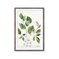Picture of Golden Greens II _GroupedProduct_Rectangle_Portrait_Framed_Matted_
