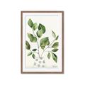 Picture of Golden Greens II _GroupedProduct_Rectangle_Portrait_Framed_Matted_