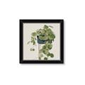 Picture of Plant in Black Pot I _GroupedProduct_Square_Framed_Matted_