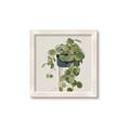 Picture of Plant in Black Pot I _GroupedProduct_Square_Framed_Matted_