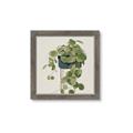 Picture of Plant in Black Pot I _GroupedProduct_Square_Framed_Matted_