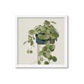 Picture of Plant in Black Pot I _GroupedProduct_Square_Framed_Matted_