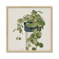 Picture of Plant in Black Pot I _GroupedProduct_Square_Framed_Matted_