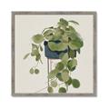 Picture of Plant in Black Pot I _GroupedProduct_Square_Framed_Matted_