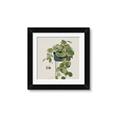 Picture of Plant in Black Pot I _GroupedProduct_Square_Framed_Matted_