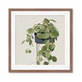 Picture of Plant in Black Pot I _GroupedProduct_Square_Framed_Matted_